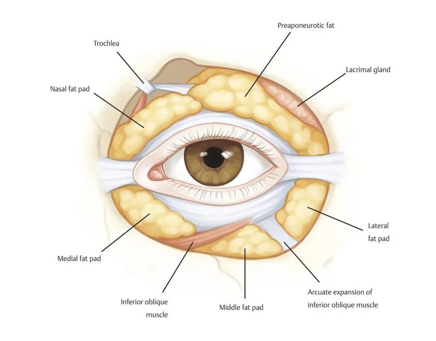 Eyelid-surgery.jpg